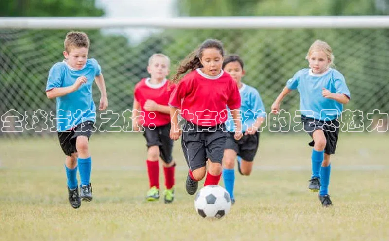 6688体育app下载安装