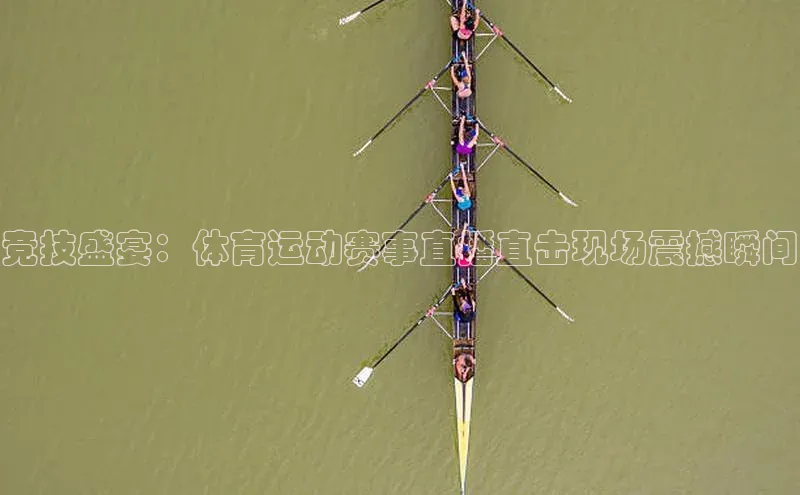 6688体育集团官网下载