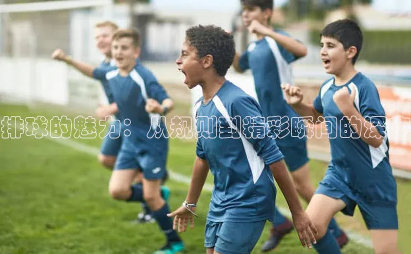 6688体育app下载安装