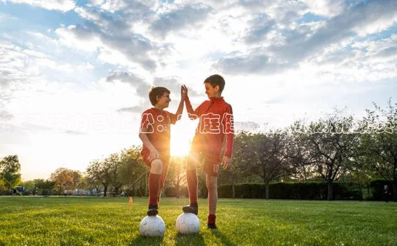 6688体育app下载安装