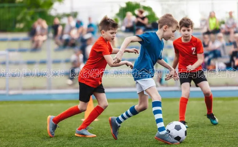 6688体育app下载安装