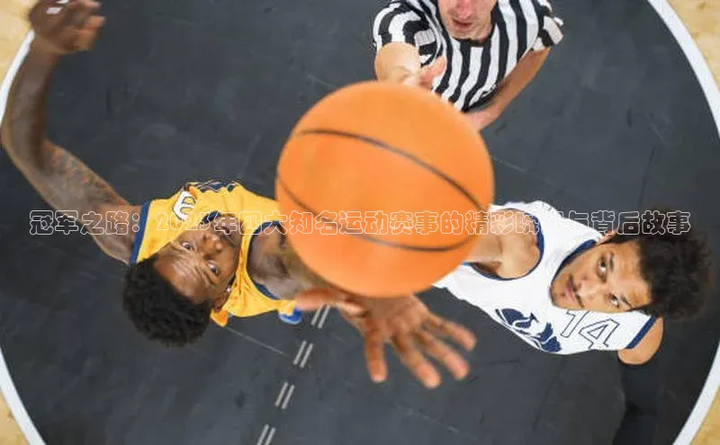 6688体育手机登录入口