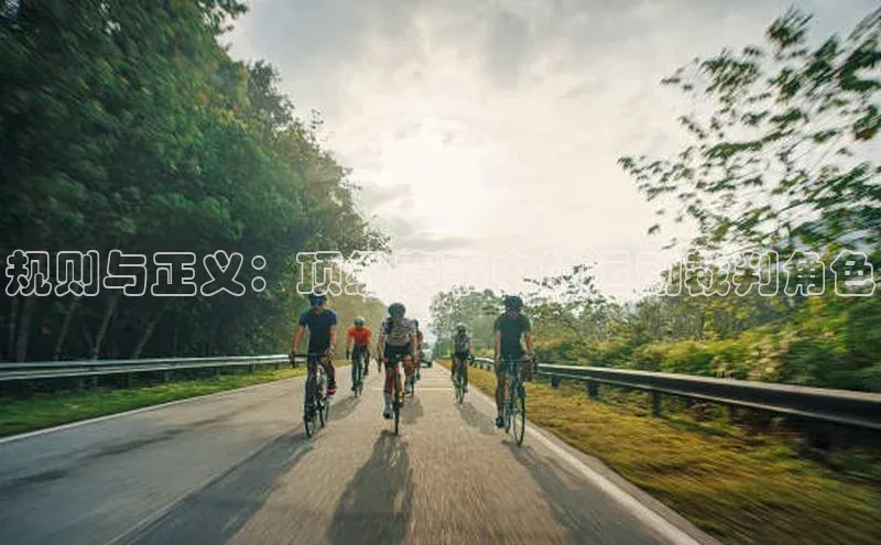 规则与正义：顶级赛事中的运动裁判角色